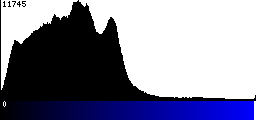 Blue Histogram