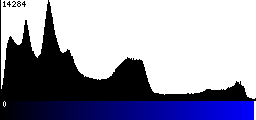 Blue Histogram