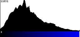 Blue Histogram