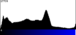 Blue Histogram