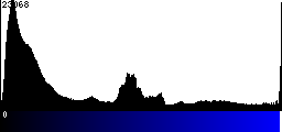 Blue Histogram