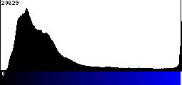 Blue Histogram