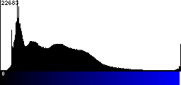 Blue Histogram