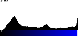 Blue Histogram