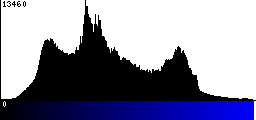 Blue Histogram