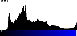 Blue Histogram