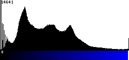 Blue Histogram