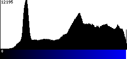 Blue Histogram