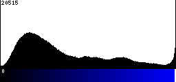 Blue Histogram