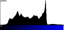 Blue Histogram