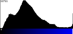 Blue Histogram