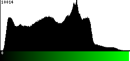 Green Histogram