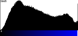 Blue Histogram