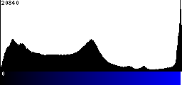 Blue Histogram