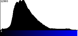 Blue Histogram