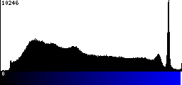 Blue Histogram