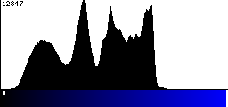 Blue Histogram