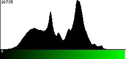 Green Histogram