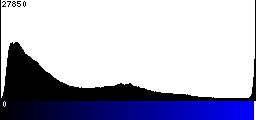 Blue Histogram