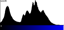 Blue Histogram