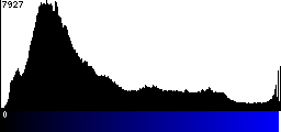 Blue Histogram