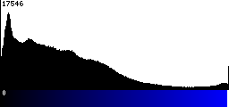 Blue Histogram