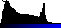 Blue Histogram