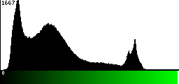 Green Histogram