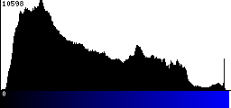 Blue Histogram