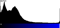 Blue Histogram