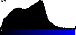 Blue Histogram