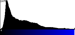 Blue Histogram