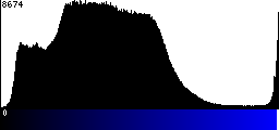 Blue Histogram