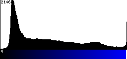 Blue Histogram