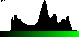 Green Histogram