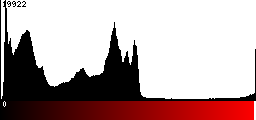 Red Histogram