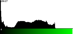 Green Histogram