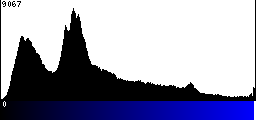 Blue Histogram