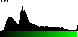 Green Histogram