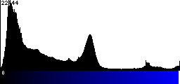 Blue Histogram