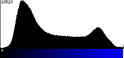 Blue Histogram