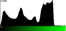 Green Histogram