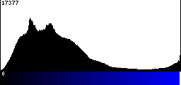 Blue Histogram