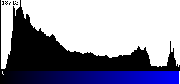 Blue Histogram