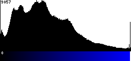 Blue Histogram