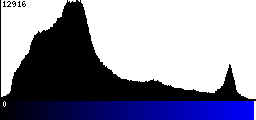 Blue Histogram