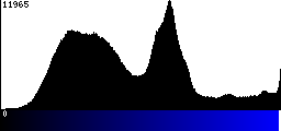 Blue Histogram