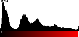 Red Histogram