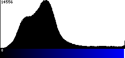 Blue Histogram