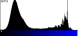 Blue Histogram